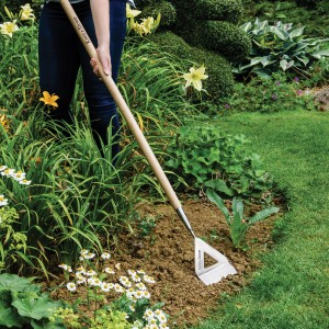 Kent & Stowe Holländische Hacke mit Langstiel im Einsatz im Gartenbeet.
