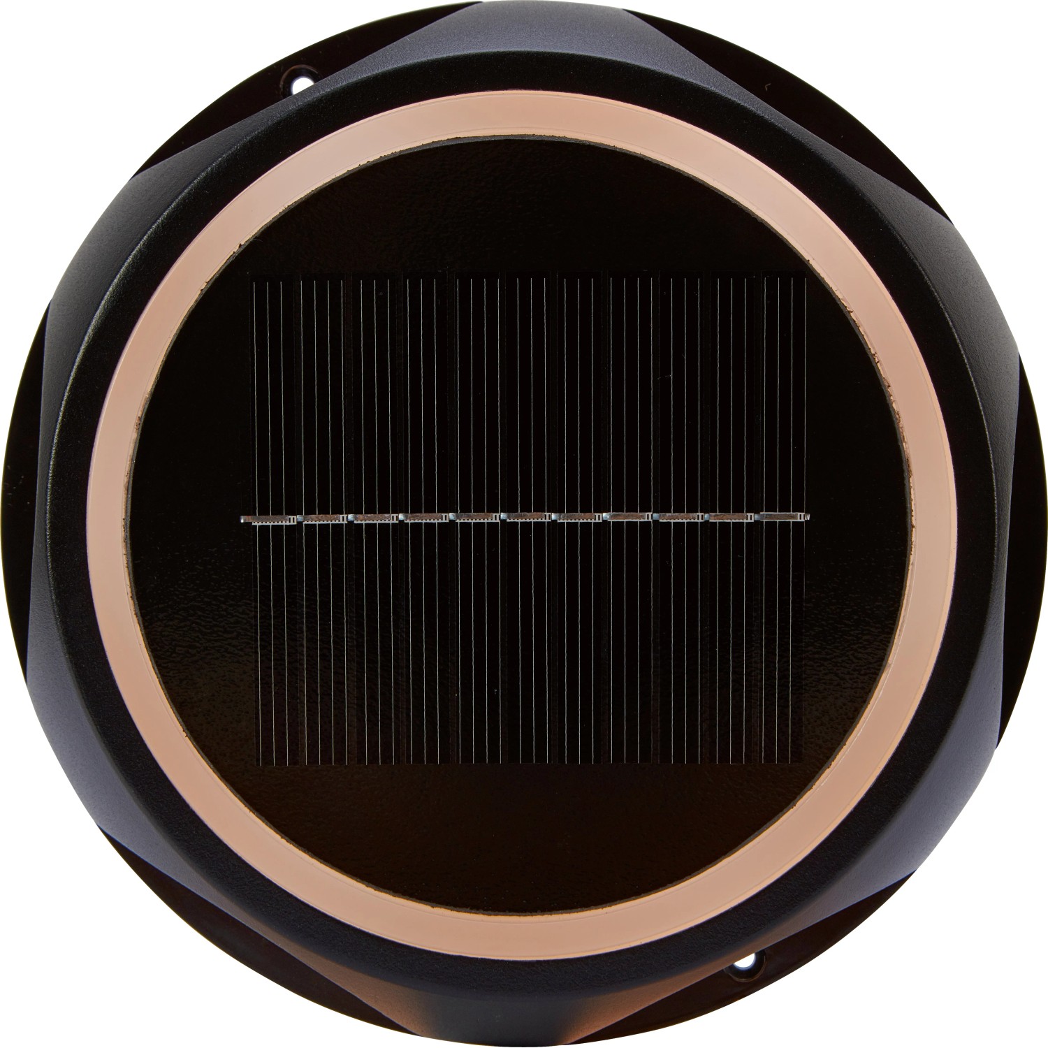 Solar Bodenstrahler LED 2 in 1 Rund Ø 14 cm x 3,4 cm Schwarz kaufen bei OBI