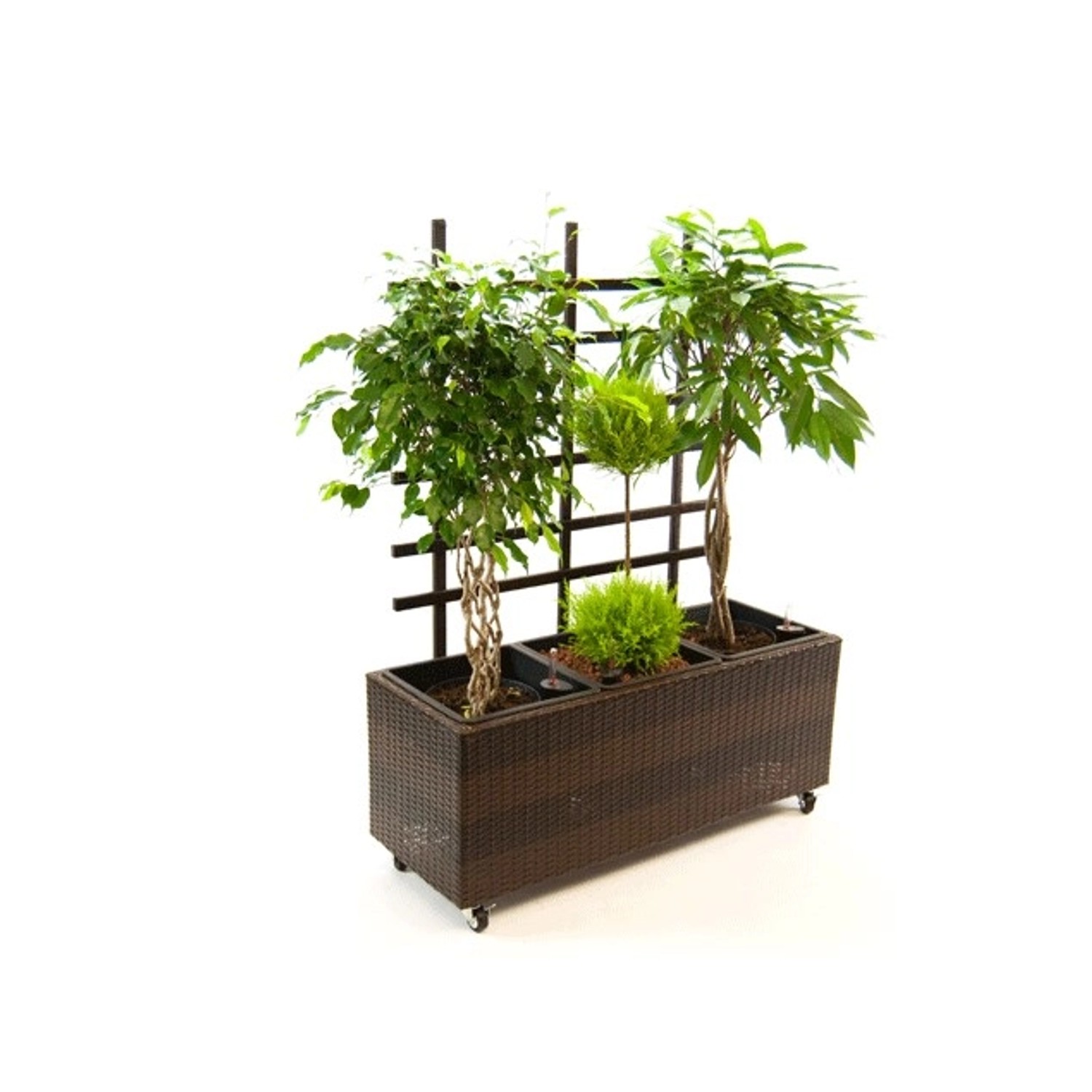 Elegant Einrichten Pflanzkübel Polyrattan mit Rankgitter Rechteckig 106x38x günstig online kaufen