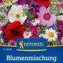 Kiepenkerl Blumenmischung Schmetterlingswiese mit bunten Blüten.