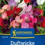 Kiepenkerl Duftwicken 'Bunte Mischung' Samen mit Blüten in verschiedenen Farben.