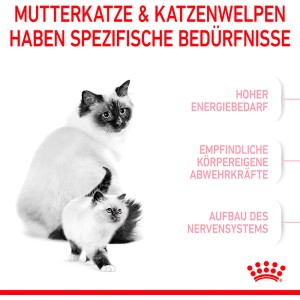 Royal Canin Katzenfutter Mother & Babycat: Katze mit Kitten. Trockenfutter für Mutterkatzen und Kätzchen.