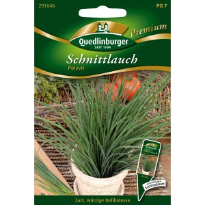 Quedlinburger Schnittlauch Polyvit Saatgutpackung mit frischem Schnittlauch in einem Topf.
