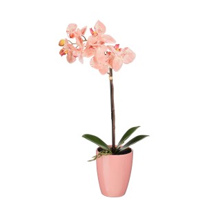 Pfirsichfarbene Kunstpflanze Phalaenopsis im Topf, 47 cm hoch. Dekorative Orchidee für Innenräume.