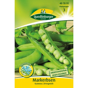 Samenpackung Quedlinburger Markerbsen Gloriosa mit geöffneter Schote und Erbsen.