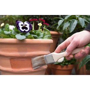 Auftragen von Lugato Schneckenschutz Schnexagon® auf einen Blumentopf als Barriere gegen Schnecken.
