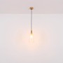 Moderne 4-flammige Globo Pendelleuchte mit klaren Glasschirmen und Messingdetails.
