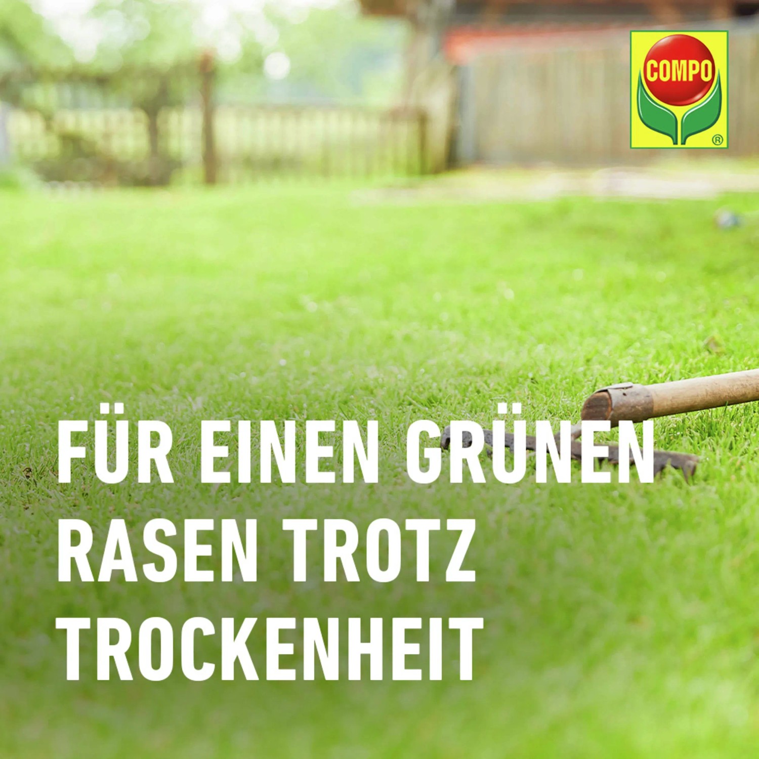 Compo Rasensamen fr trockene Standorte 1 kg 40 m kaufen bei OBI