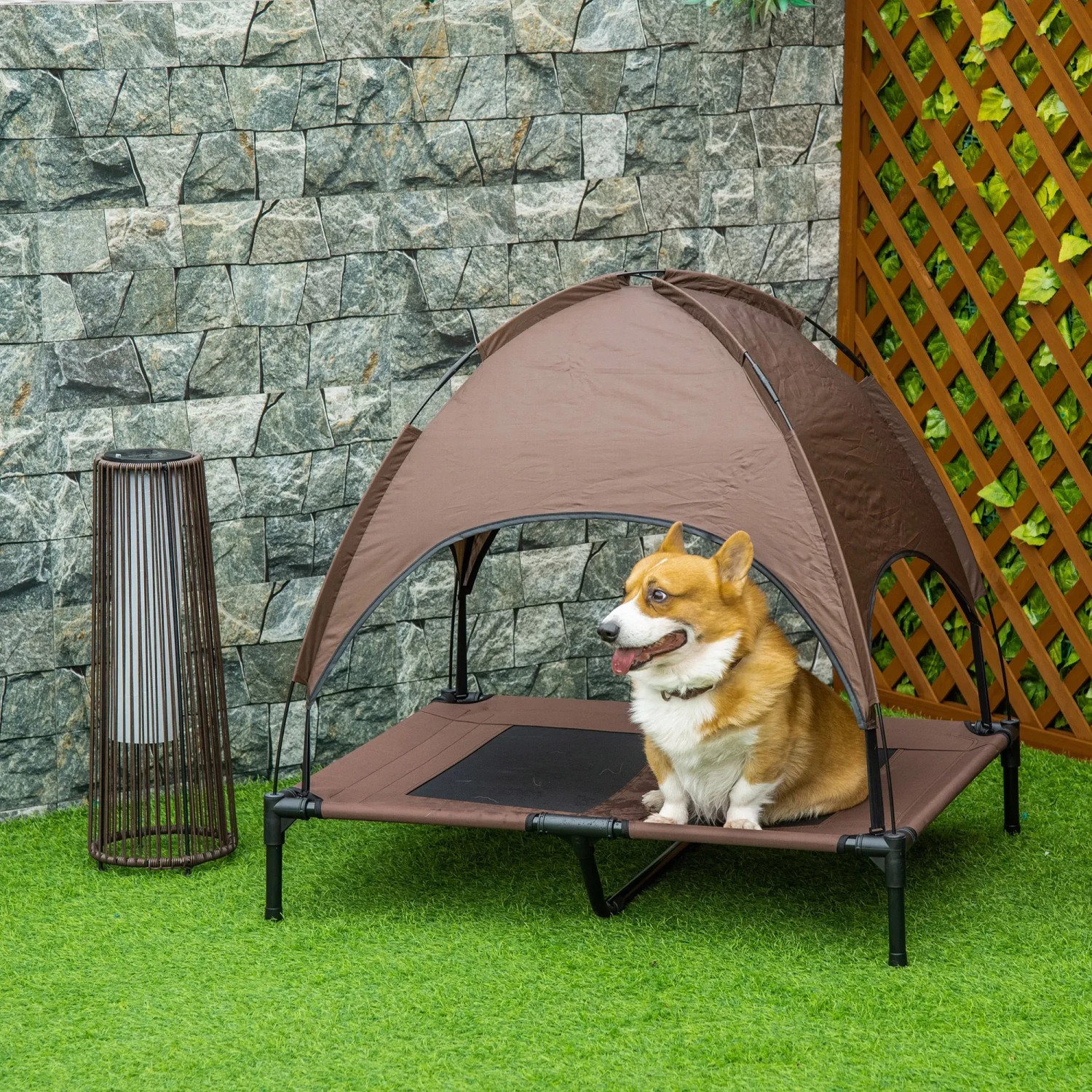 PawHut Hundebett mit Baldachin, erhöht, braun, mit Hund