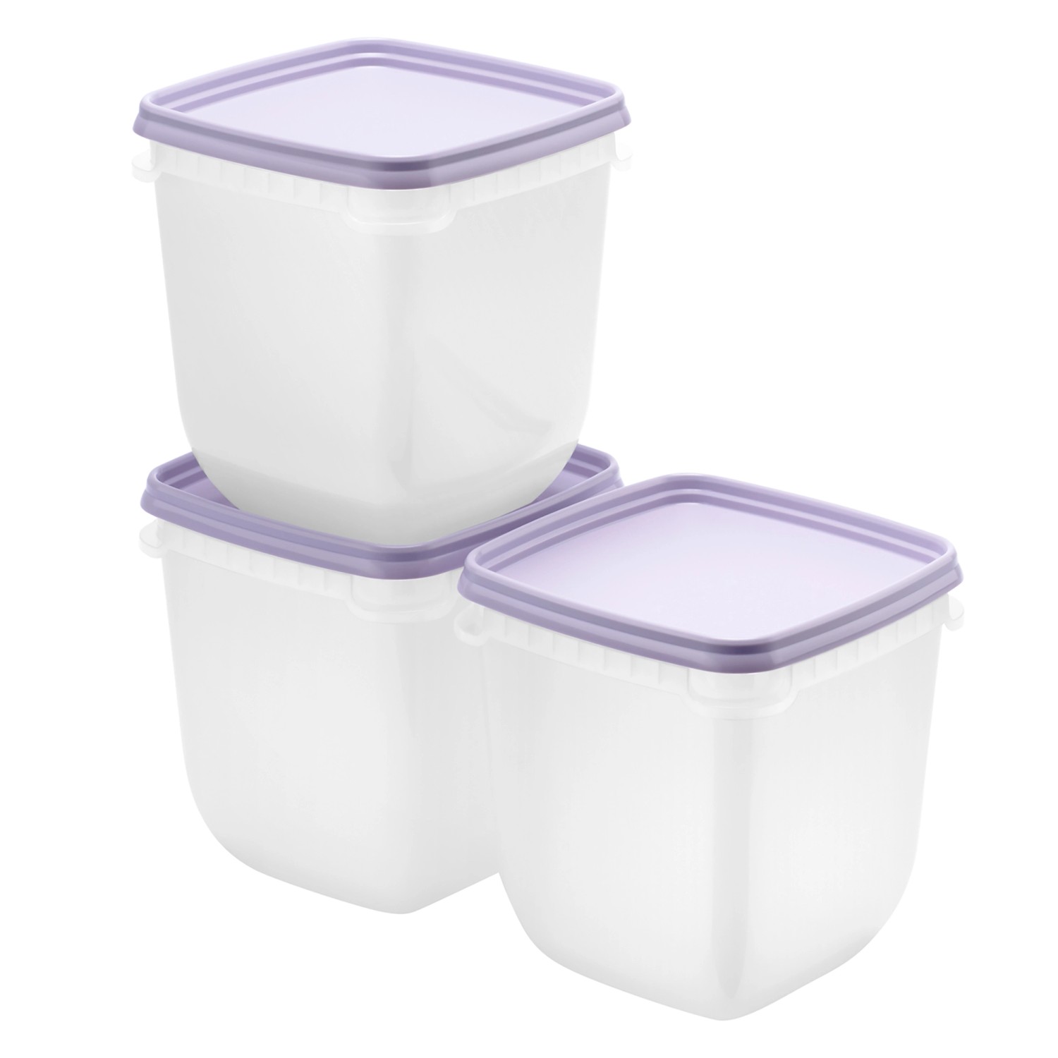 SmartStore Gefrierdose Frost 1 l Lavendel 3 Stück günstig online kaufen