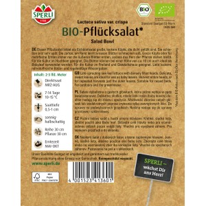 Sperli Bio Pflücksalat Grün Samen, Packung mit Salat für Hochbeet, Freiland und Gewächshaus.