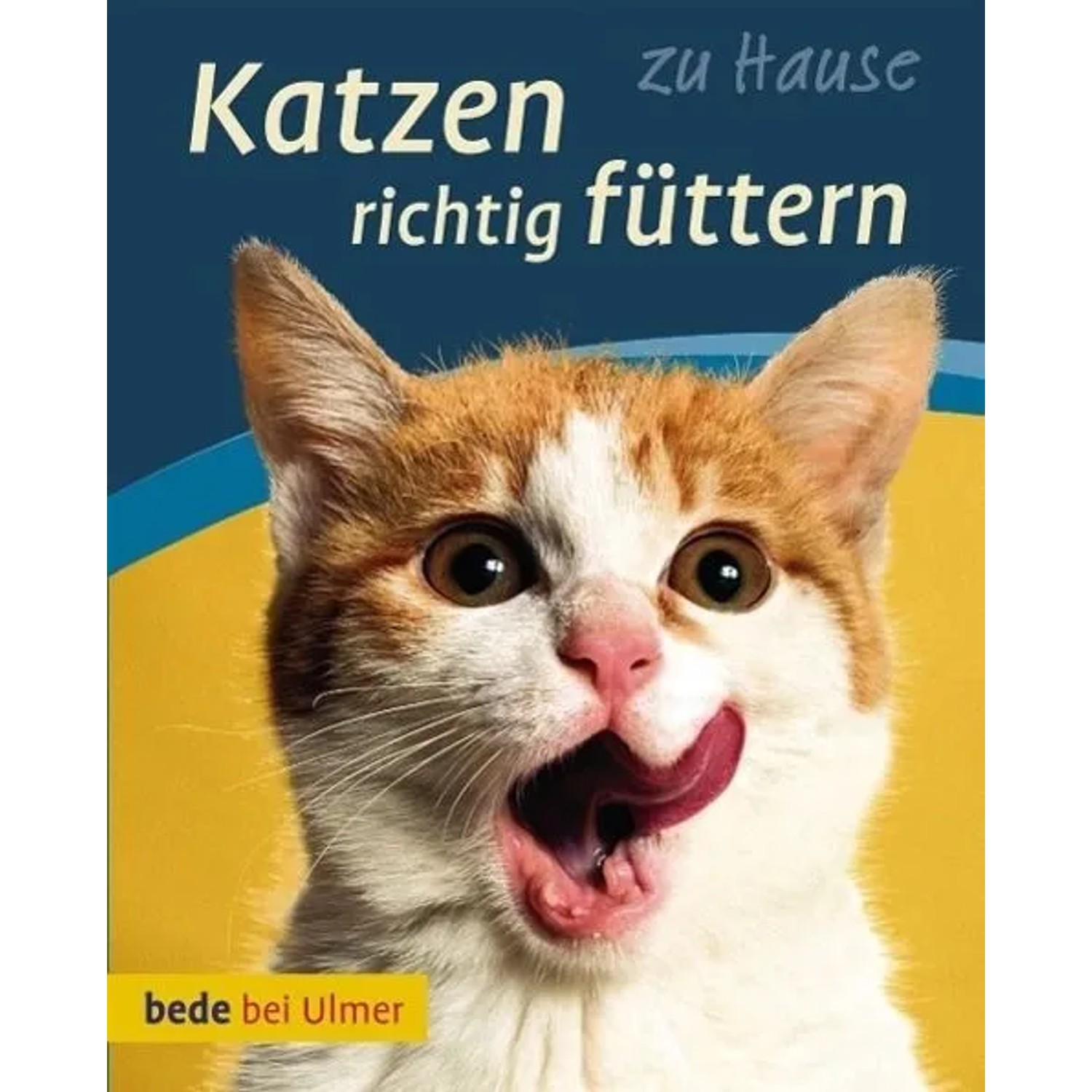 Katzen richtig füttern