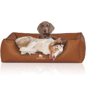Knuffelwuff Hundebett Henderson Kunstleder XXL in Rusty mit zwei Hunden.