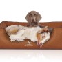 Knuffelwuff Hundebett Henderson Kunstleder XXL in Rusty mit zwei Hunden.
