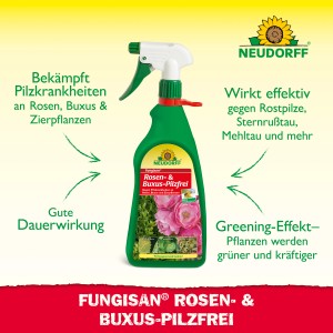 Neudorff Fungisan Rosen- und Buxus-Pilzfrei 1l Flasche mit Sprühkopf. Rosenschutzmittel gegen Pilzbefall.