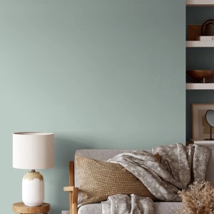 Wand in Wintermorgen Grün mit V&CO Premium Innenfarbe Dead Flat Matt, Teil der Kategorie Bunte Wandfarben.
