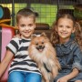 Relaxdays Hundegitter Auto Metall Schwarz Verstellbar 40 cm x 157 cm x 5 cm 2,43 kg_5