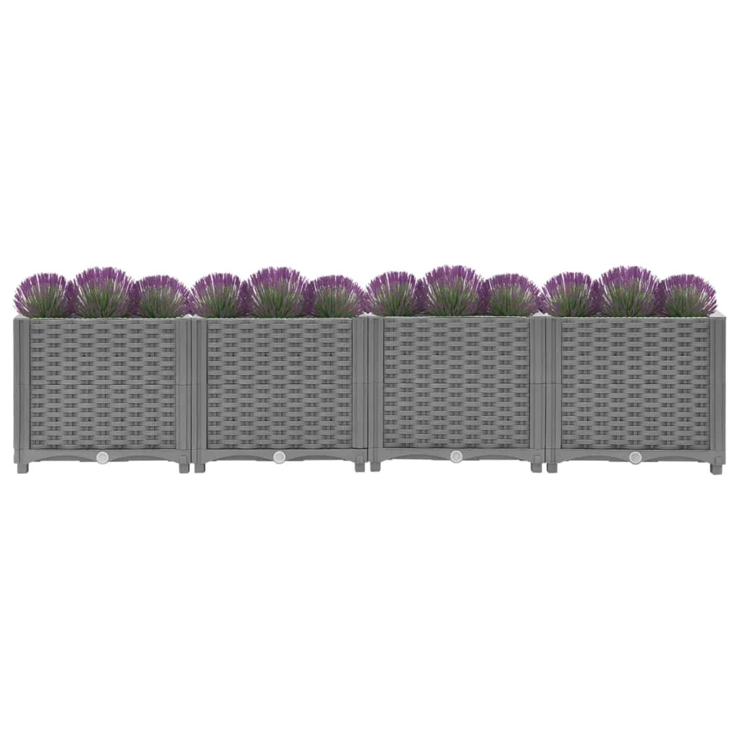 Hellgraues vidaXL Hochbeet (160x40x38 cm) mit Rattan-Optik und lila Zierlauch.
