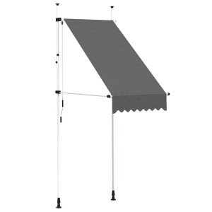 vidaXL Einziehbare Markise Handbetrieben 100 cm Anthrazit 145832