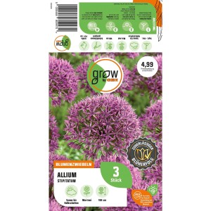 Verpackung GROW by OBI Zierlauch Stipitatum Rosa, 3 Stück Blumenzwiebeln mit rosa Blüten.