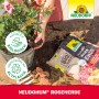 Neudorff Neudohum Rosenerde 20 l beim Umtopfen einer Rose im Topf.