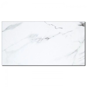 Aluverbund24 PVC Wandpaneele Duschrückwand Küchenrückwand Wandfliesen Astral in Marmor-Optik Hochglanz 60x120cm