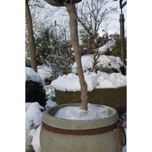 Baumstamm mit Videx Deko-Juteband in Stein-Optik umwickelt, im Wintergarten.