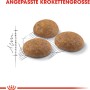 Royal Canin Outdoor Katzenfutter: Drei Kroketten in angepasster Größe für Freigänger Katzen.