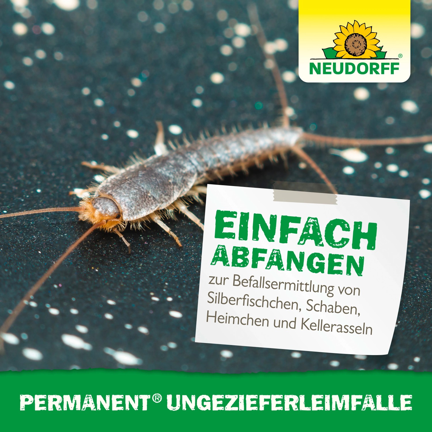Neudorff Ungezieferleimfalle: Silberfischchen auf Falle zur Schädlingsbekämpfung.