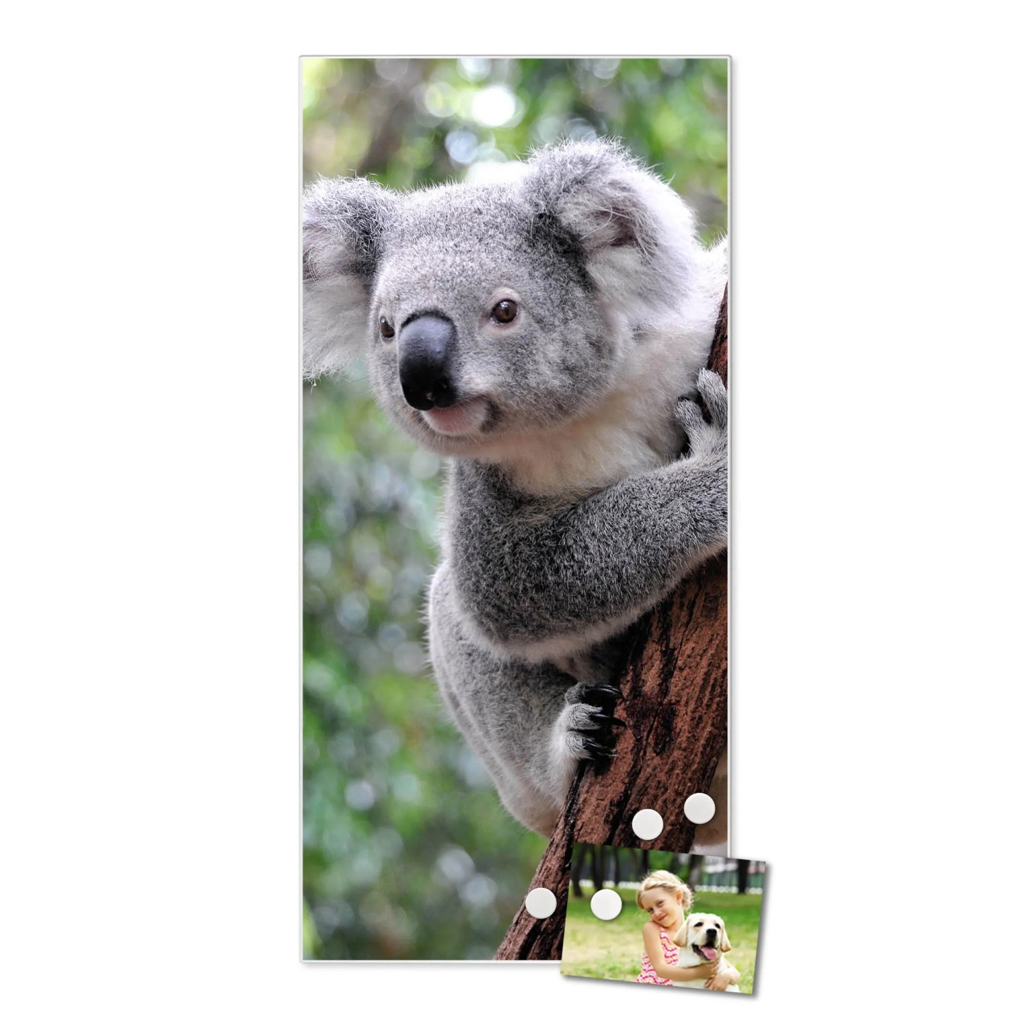 Banjado Magnettafel 30x75 Cm – Magnetwand Mit Elvis-Motiv, Inkl. 4 Magneten & Montageset Für Küche & Büro