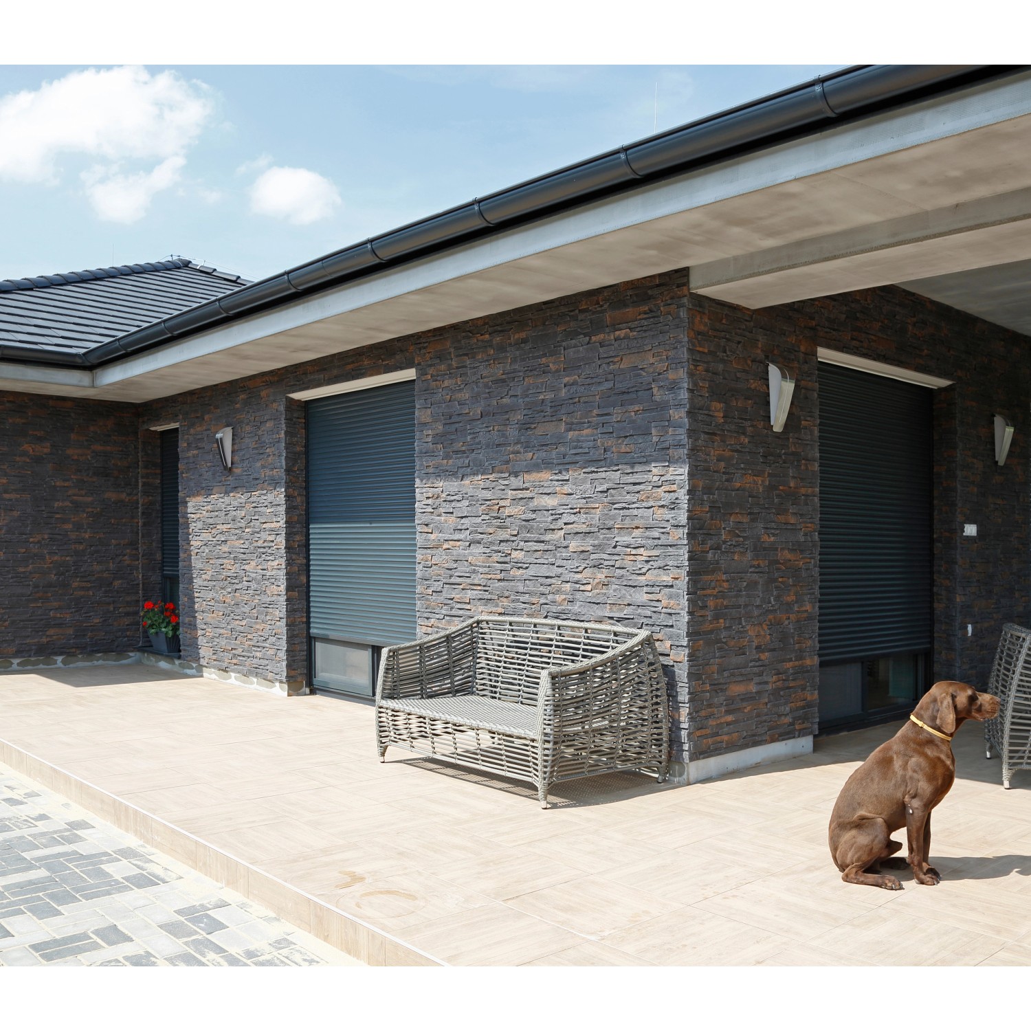 Hauswand mit Stegu Verblender Nepal Grau, graue Rollläden und Hund.