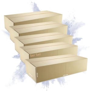 Offener, brauner 2-welliger PROREGAL Versandkarton, 1200x600x310 mm, für DHL Versand.