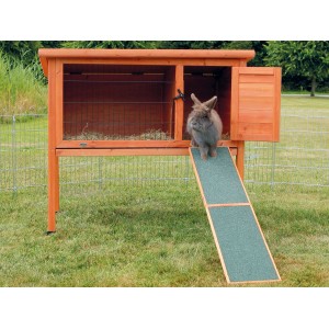 Trixie Holzrampe am Nagerstall: Kaninchen nutzt Rampe aus Kiefernholz für einfachen Ein- und Ausstieg.