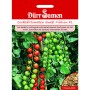 Dürr Samen Kirschtomaten Sweet Million F1: Reichtragende Tomatenpflanze mit roten und grünen Früchten.