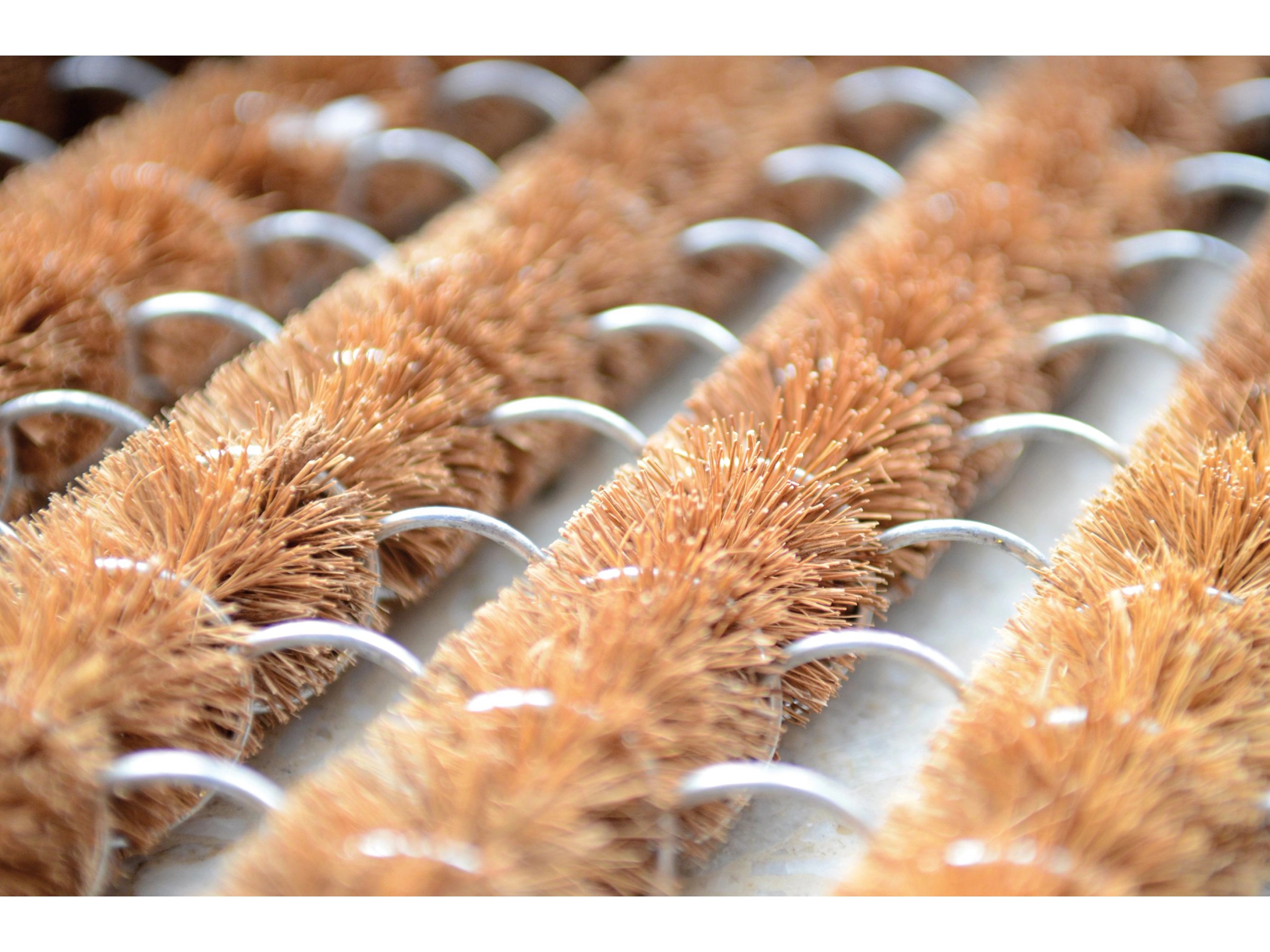 Brosse Bonsaï Kaneshin - Fibre De Coco, Code 119 S - Neuf
