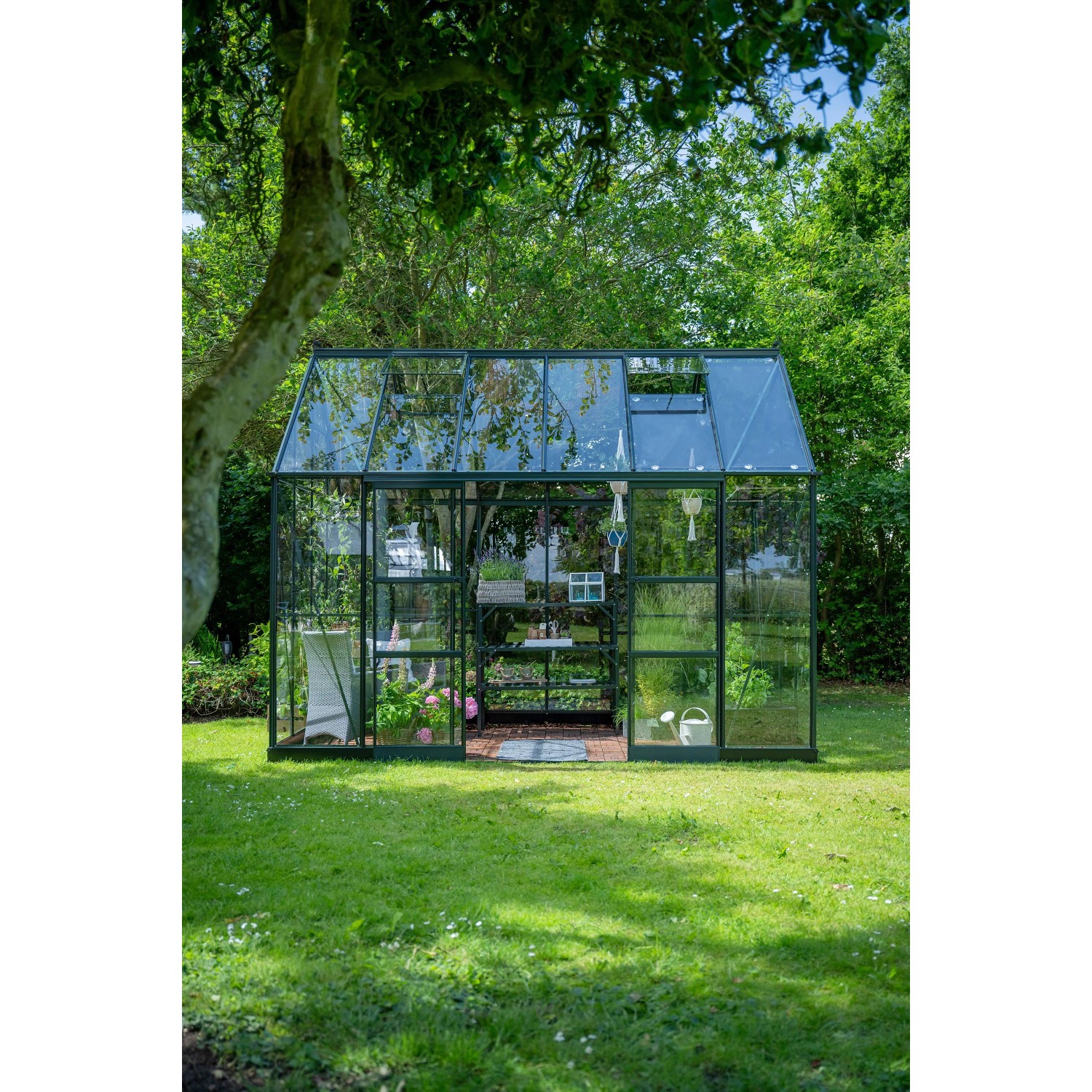 Häuschenförmiges, grünes Halls Gewächshaus Icon Planthouse 8 mit geöffneter Schiebetür im Garten.