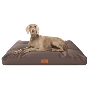 Knuffelwuff Hundekissen Gatsby Cordura, 75x50cm, braun, mit liegendem Hund.