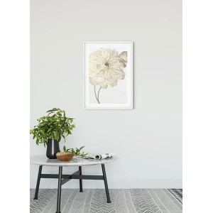 Wandbild Illustration einer weißen Dahlie im Rahmen, 50x70 cm. Dekoratives Bild für Wohnräume.
