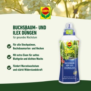 Compo Buchsbaum- und Ilexdünger 1 l