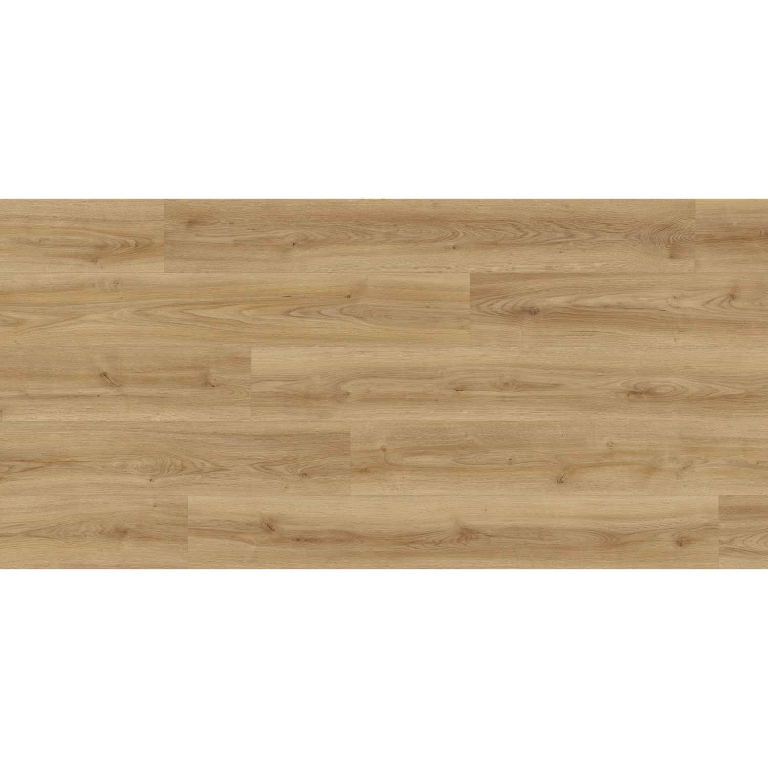 Kaindl Proganic Laminat 8,5 mm Wasserfest Eiche Cordoba Elegante