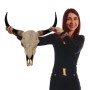 MCW Deko Schädel 45cm T454 Stier Naturfarben_3
