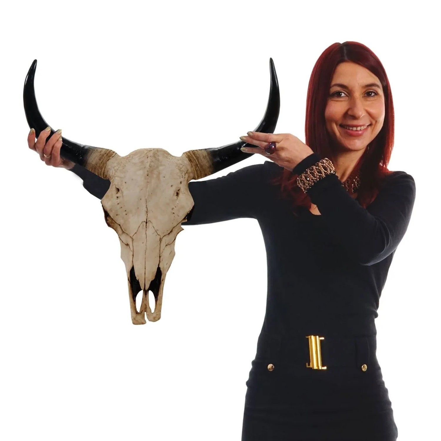 MCW Deko Schädel 45cm T454 Stier Naturfarben_3