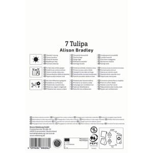 Kiepenkerl Tulpenzwiebel Allison Bradley, gefüllte späte Tulpe für Beet, Kübel und als Schnittblume.