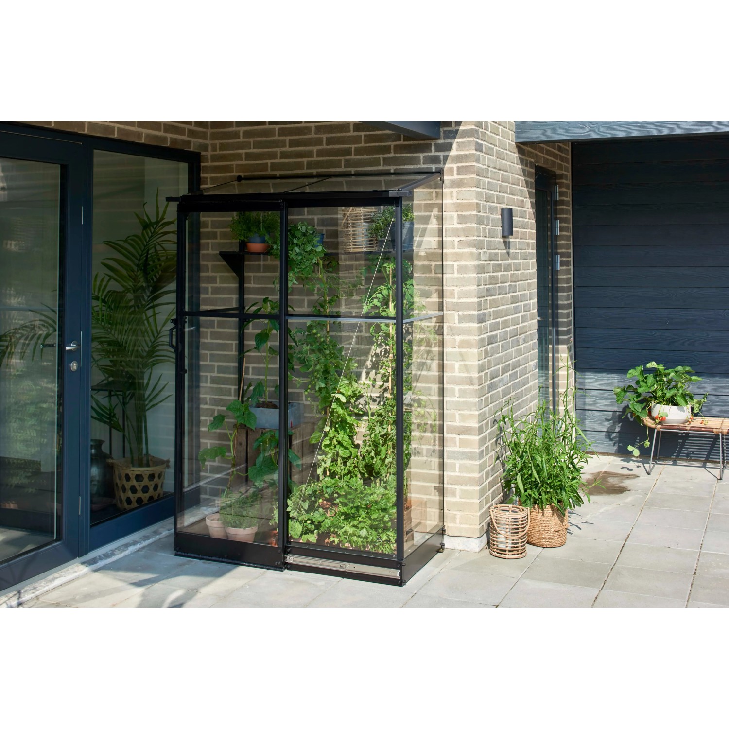 Schwarzes Halls Anlehngewächshaus Qube Lean-to 24 mit Pflanzen auf Terrasse.