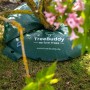 TreeBuddy Bewässerungsring (55l) zur Langzeitbewässerung von Bäumen und Sträuchern.