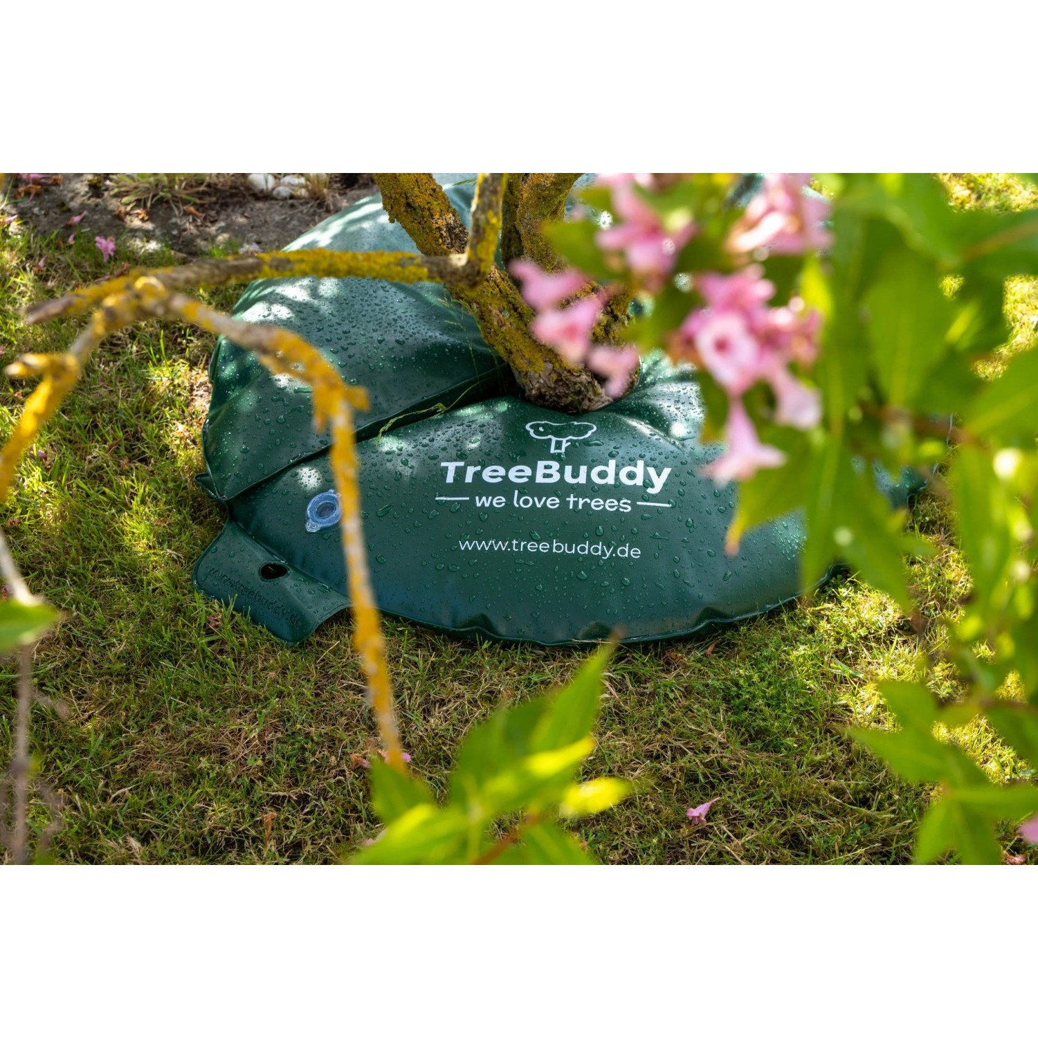 TreeBuddy Bewässerungsring (55l) zur Langzeitbewässerung von Bäumen und Sträuchern.