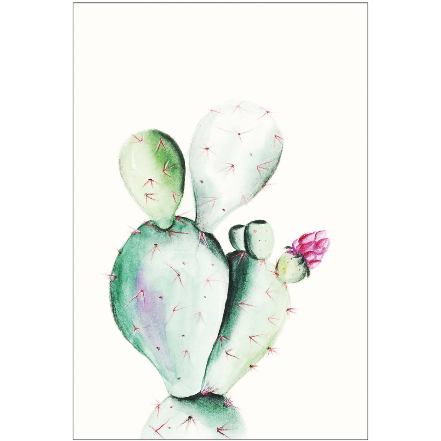 Komar Wandbild Prickly Pear 30 x 40 cm