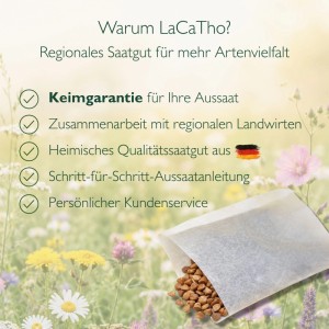 LaCaTho Hundsrose Samen (Rosa Canina) in geöffneter Packung auf bunter Blumenwiese. Wildrosen-Saatgut für Hecken.