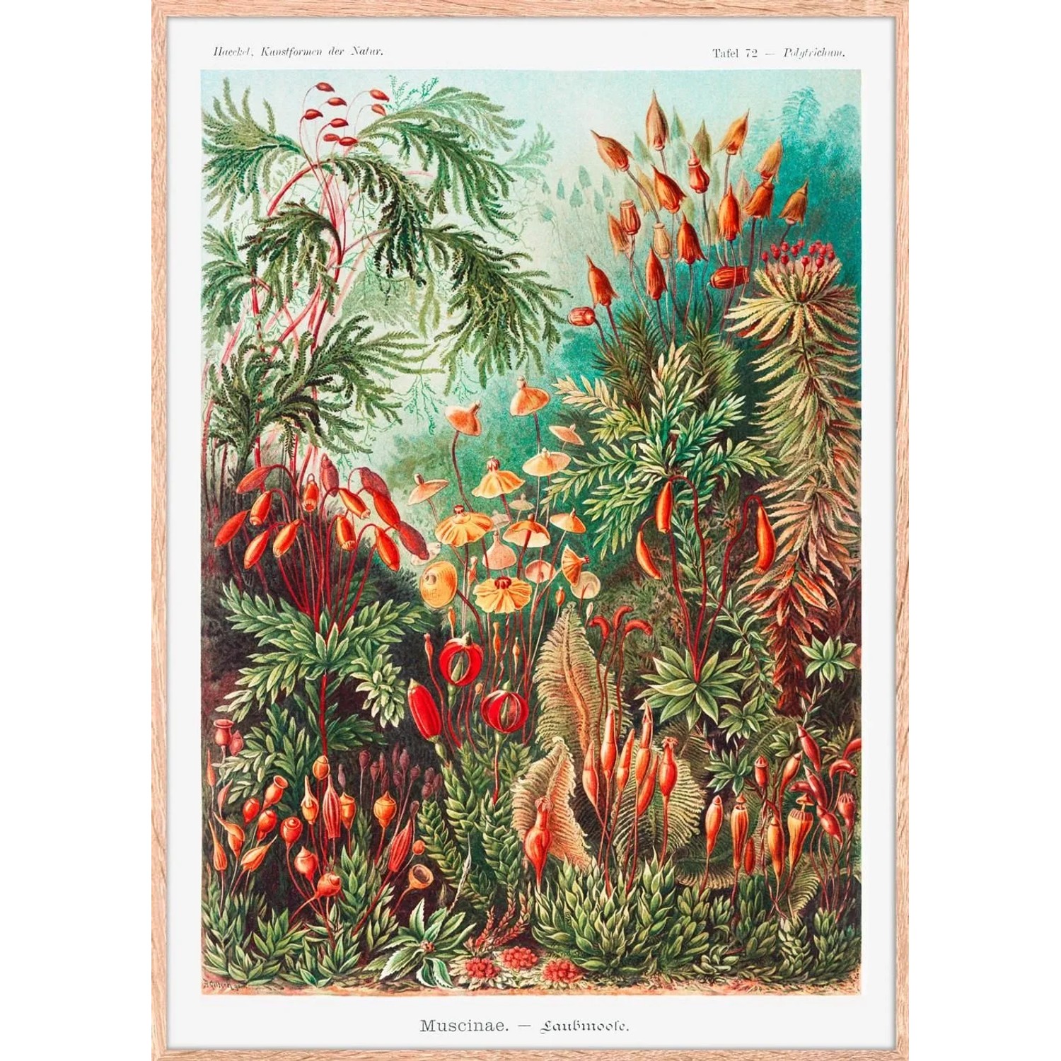 Modern Living Bild Image ca. 50x70cm