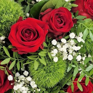 Blumenstrauß 'Für immer mein' mit roten Rosen, Schleierkraut und frischem Grün. Romantisches Geschenk.